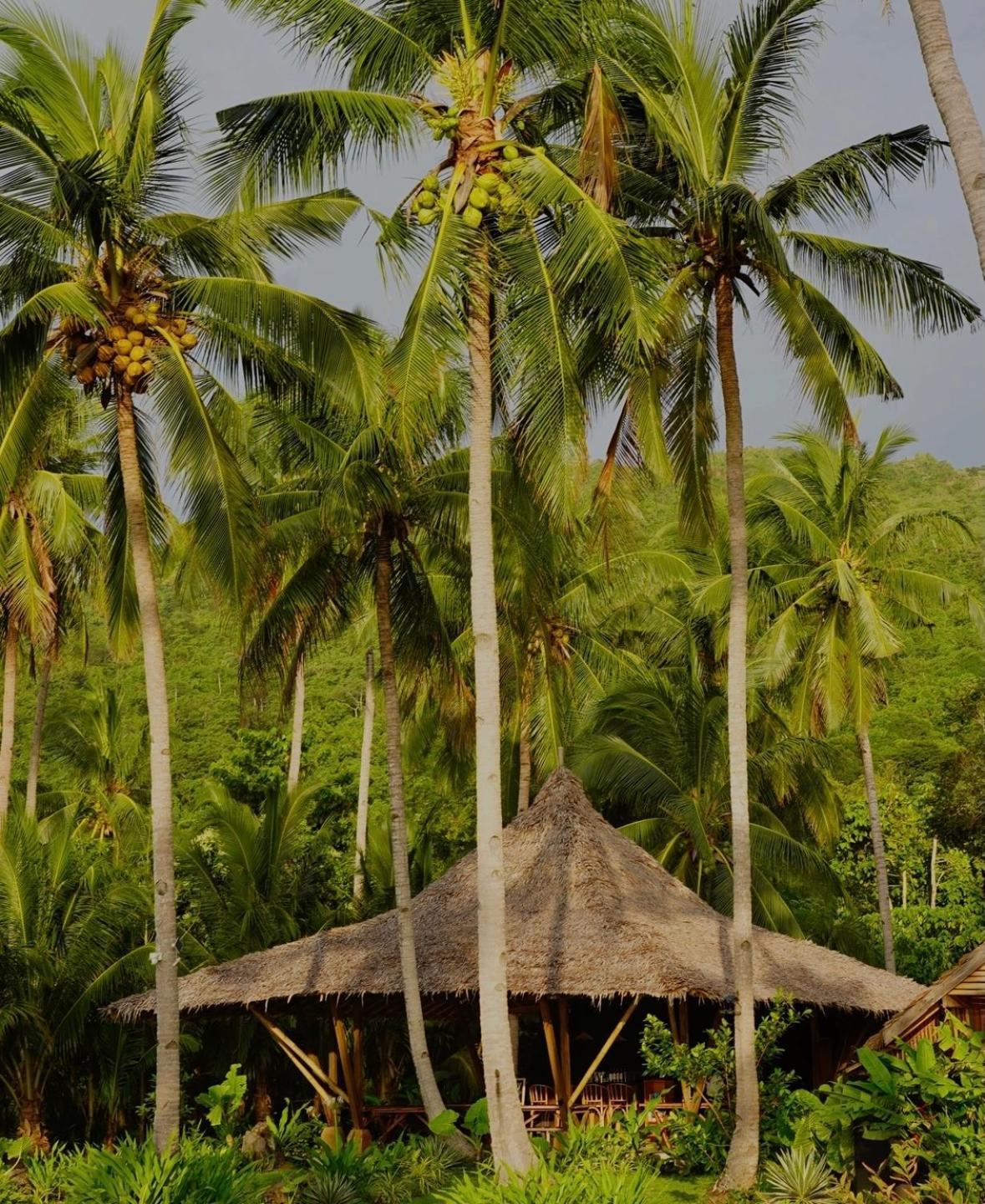 Eco Sanctuaries Nature Lodge Nacpan Beach, El Nido Exterior foto